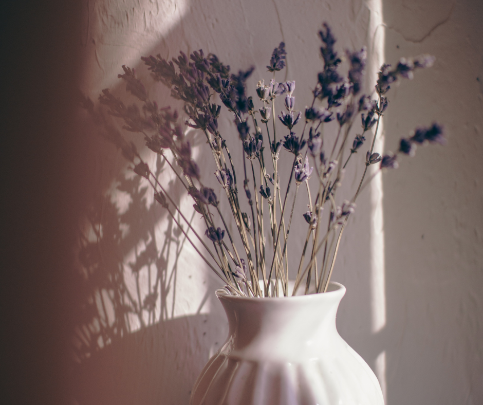 lavander (5)