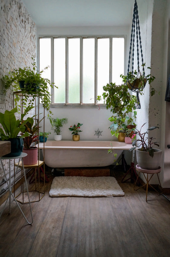 interior landscaping