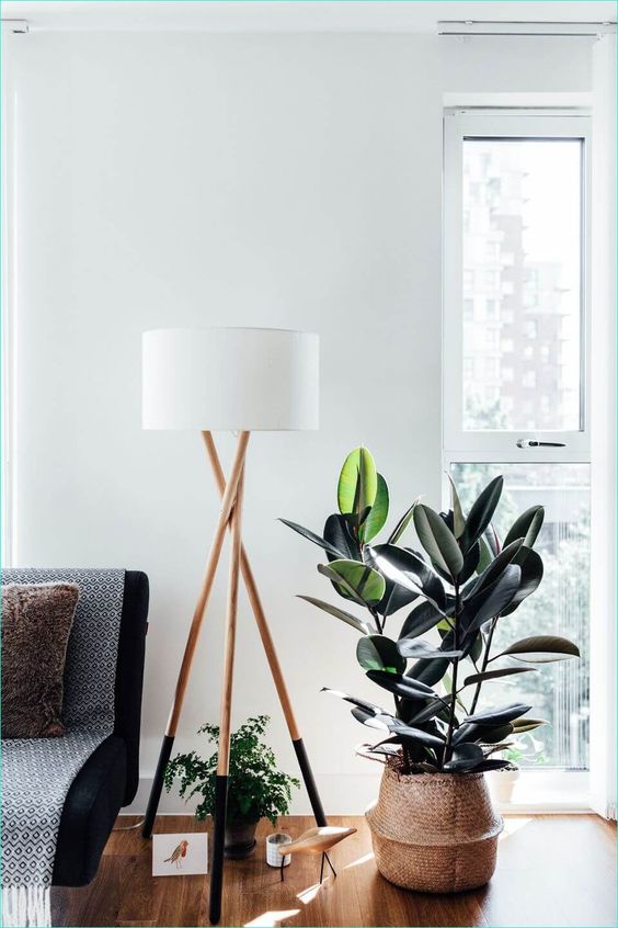 interior landscaping