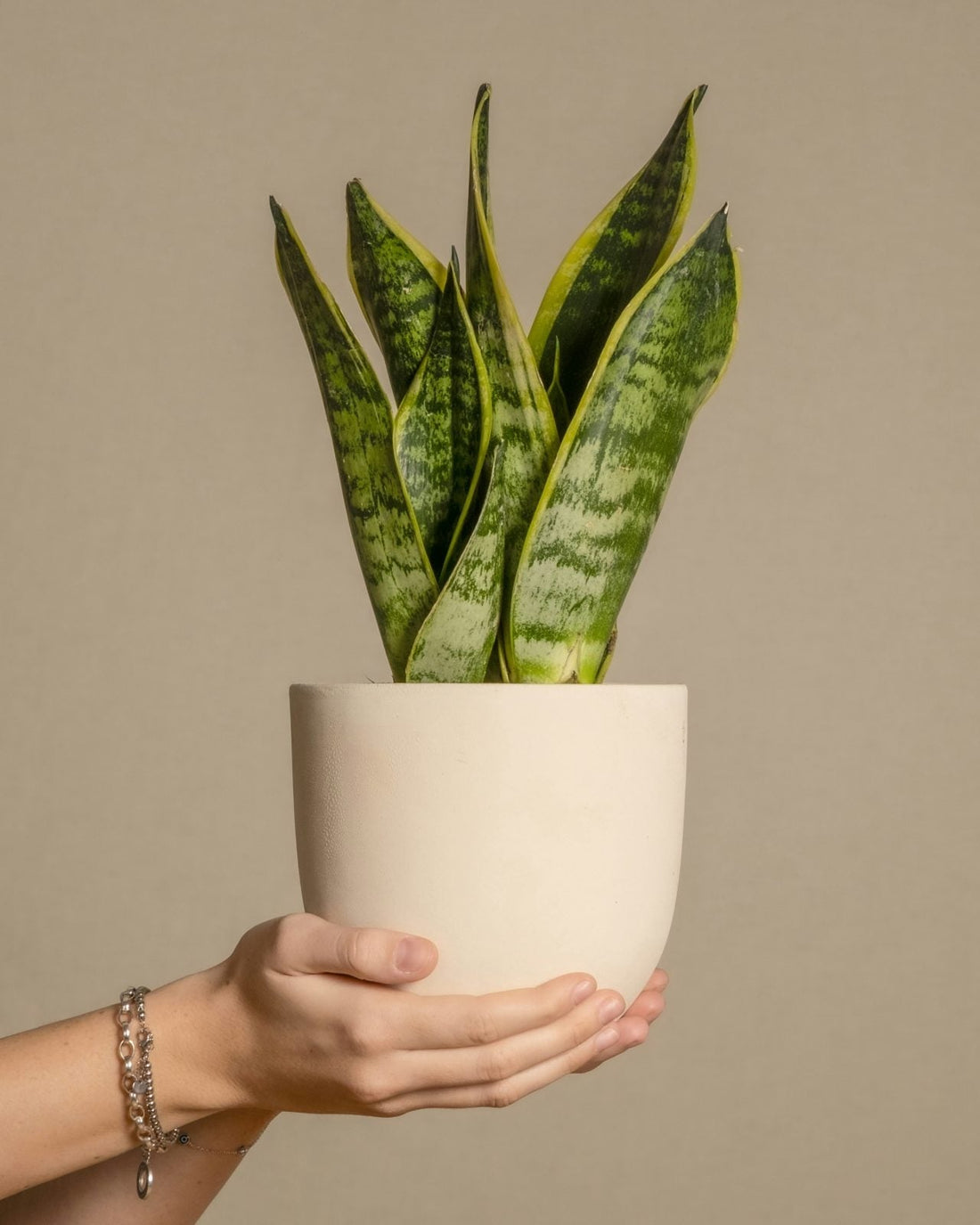 feey-URA9g8uTFqg-unsplash