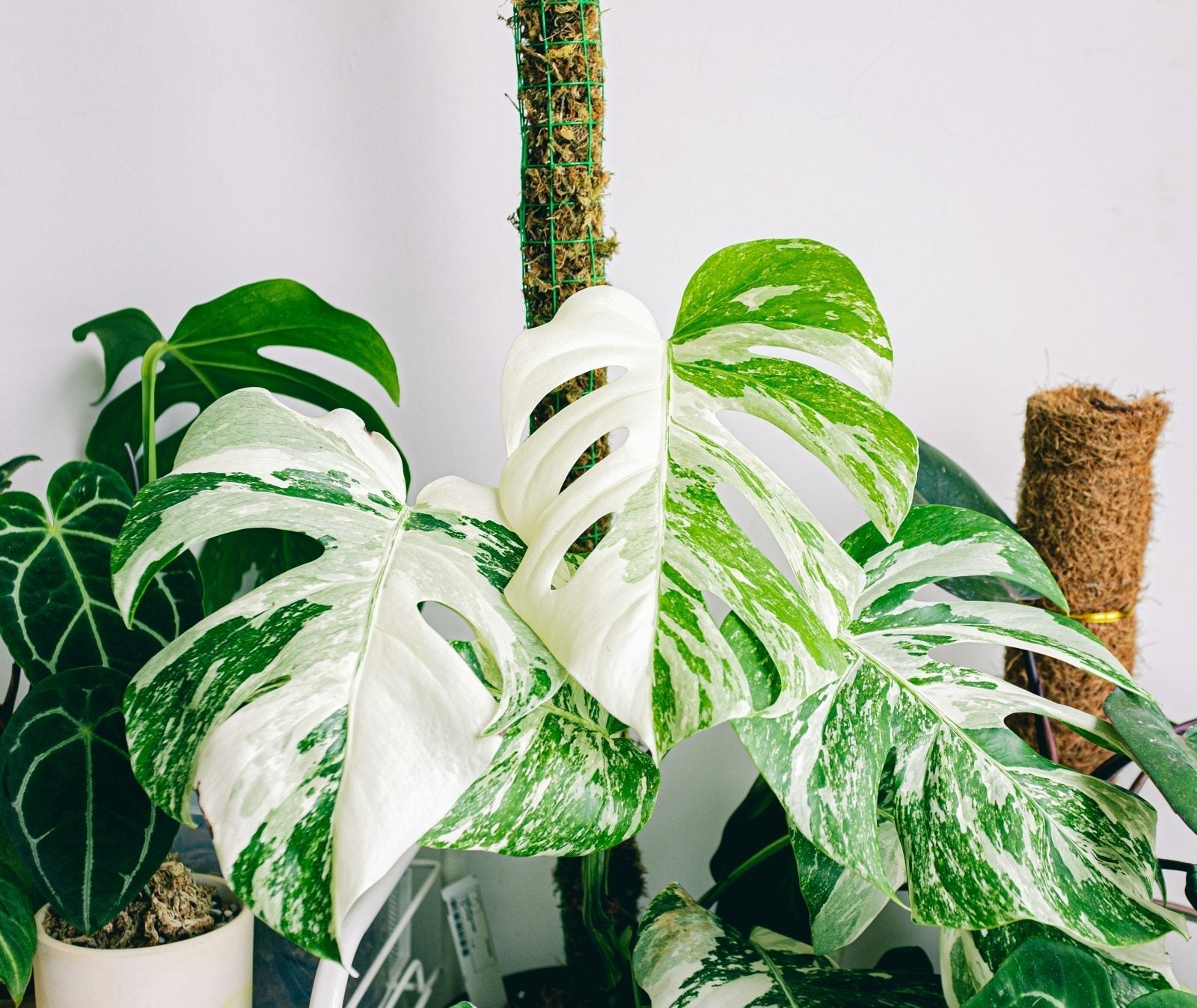 huy-phan-NicHoXksB9Q-unsplash
