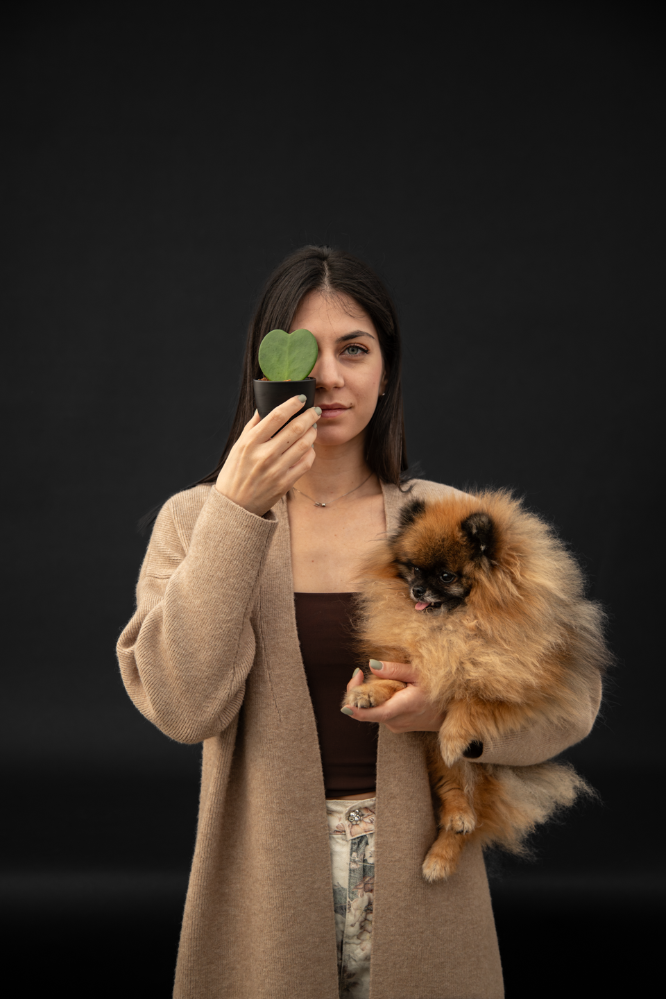 Pet-Friendly