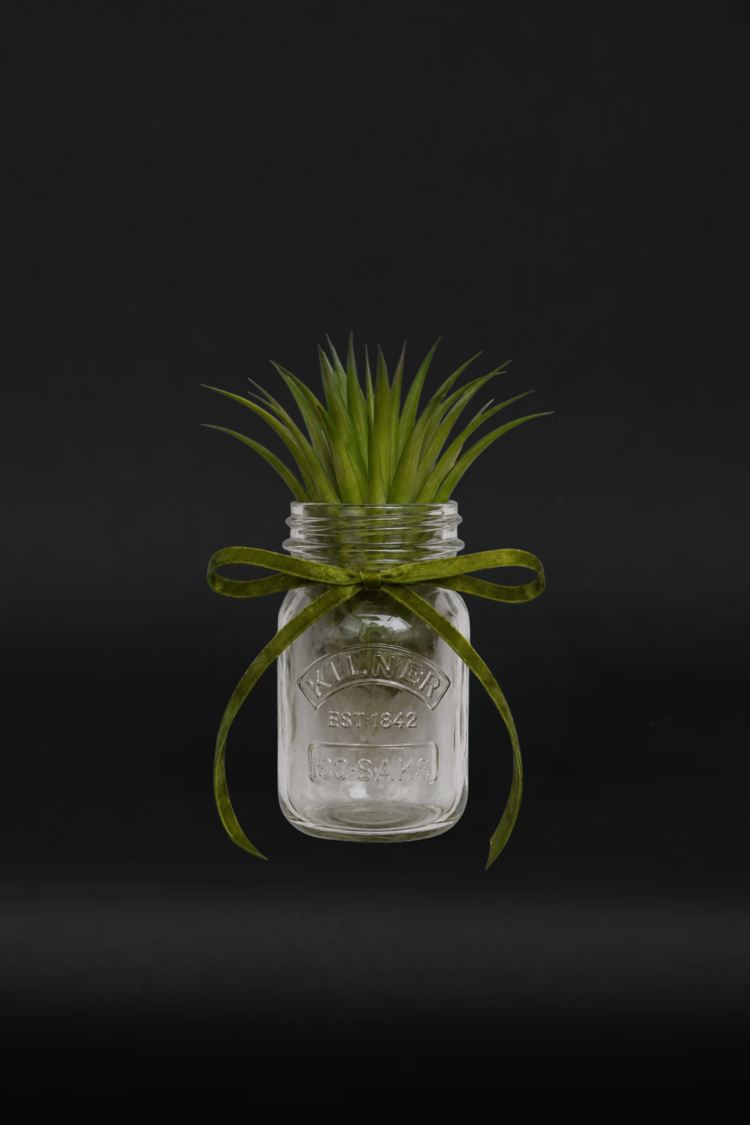 Plant frame