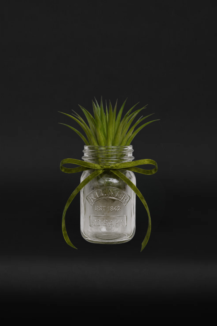 Plant frame