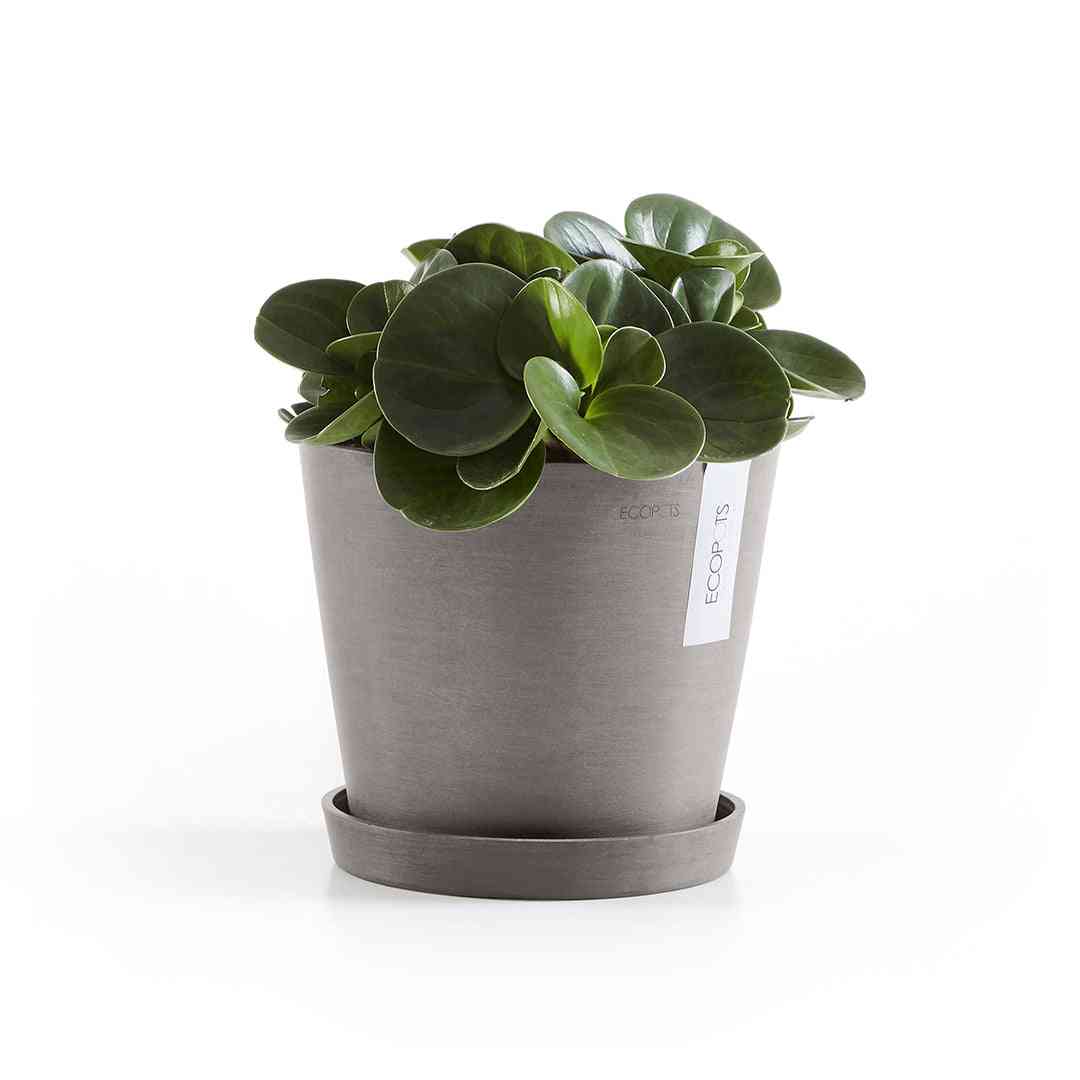 Чинийка Ecopots Saucer 20 Taupe