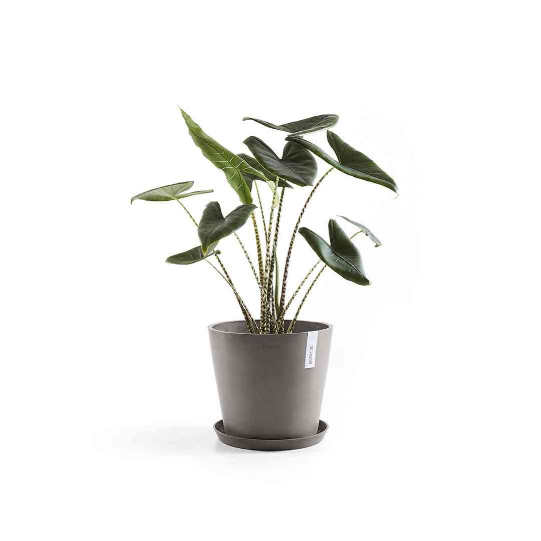 Градинска чинийка Ecopots за саксии