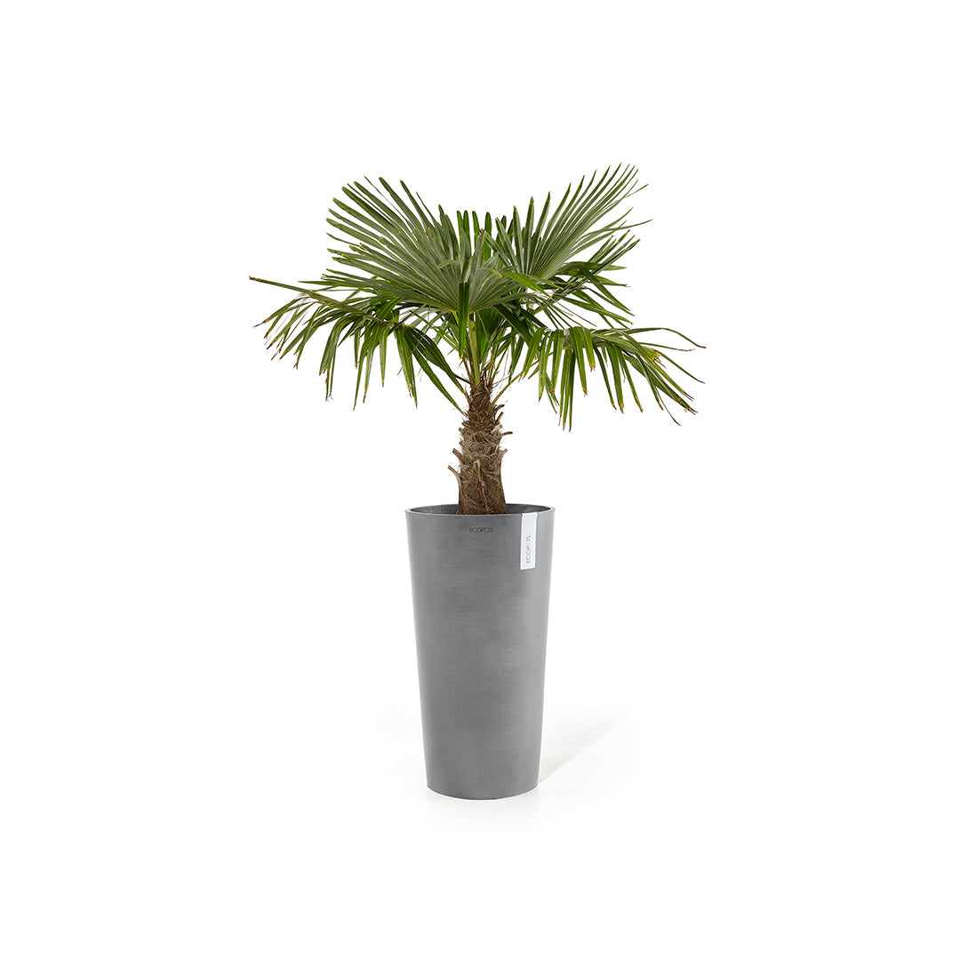 Ecopots Amsterdam High 66 Grey