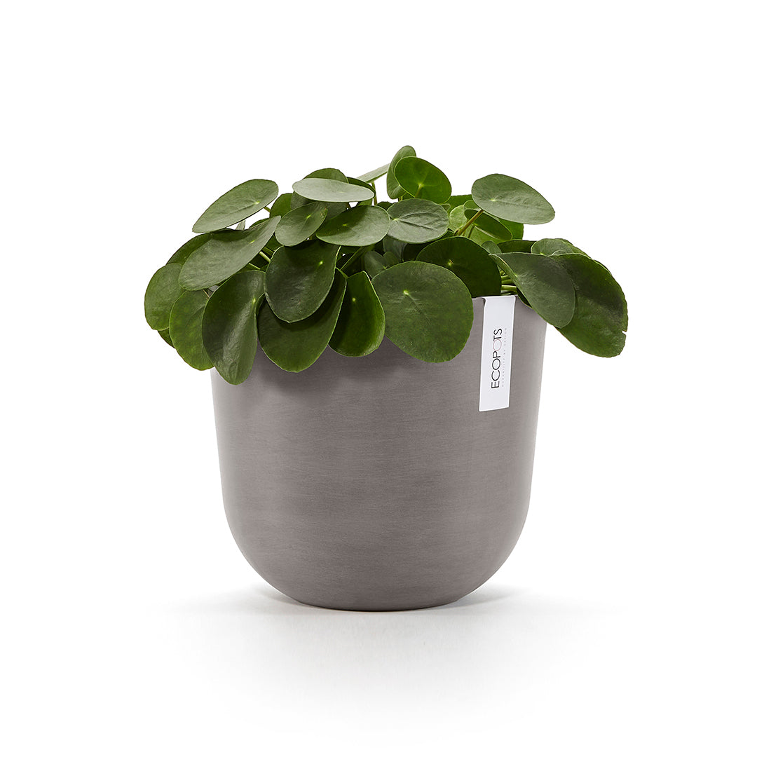 Ecopots Oslo 25 Taupe + Water Reservoir