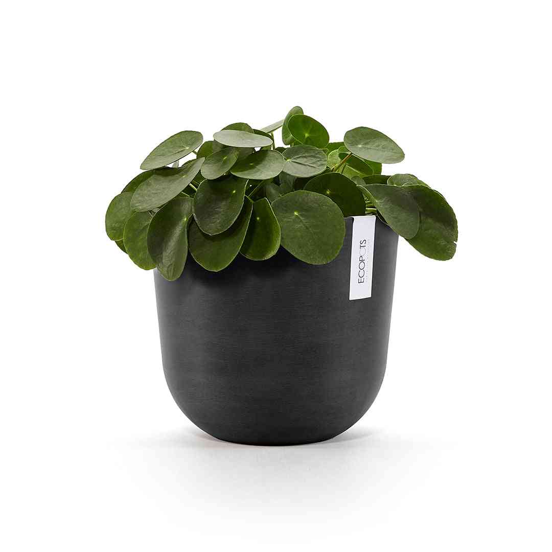 Ecopots Oslo 25 Dark Grey + Water Reservoir