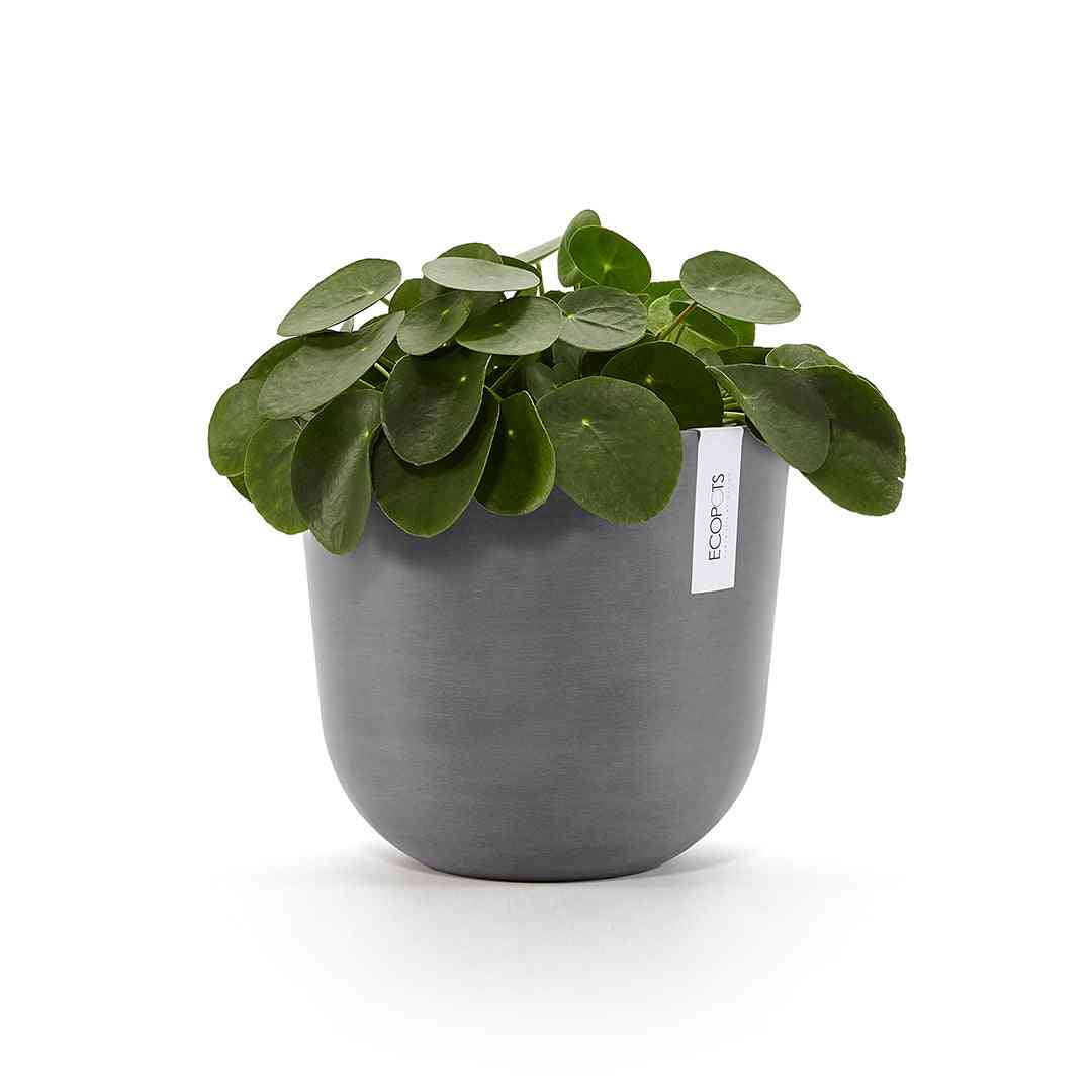 Ecopots Oslo 25 Grey + Water Reservoir