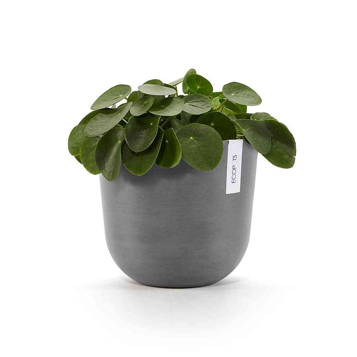 Ecopots Oslo 25 Grey + Water Reservoir