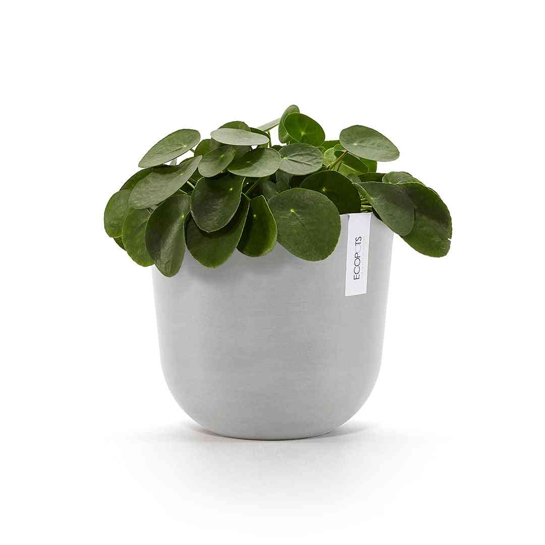 Ecopots Oslo 25 White Grey + Water Reservoir