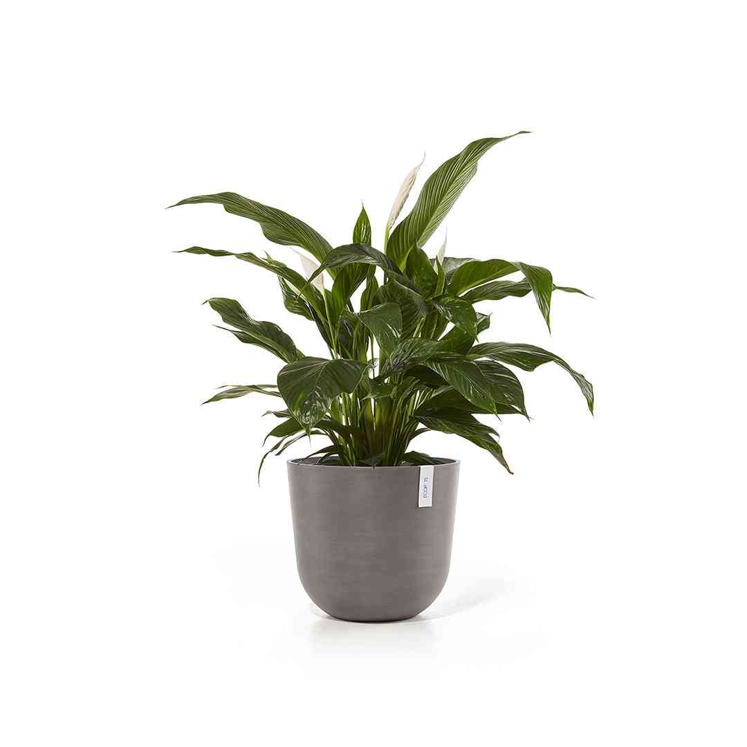 Ecopots Oslo 45 Taupe + Water Reservoir