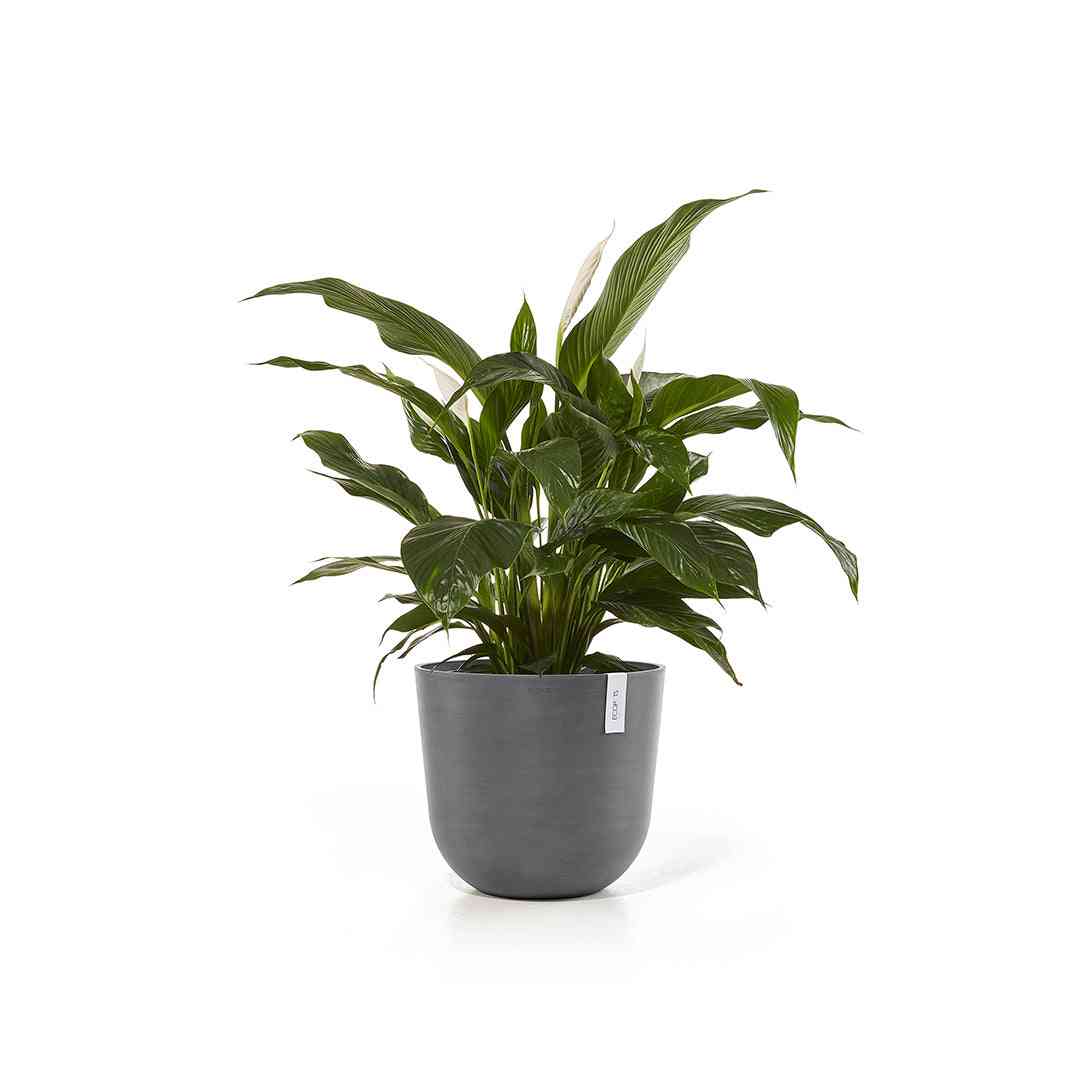 Ecopots Oslo 45 Grey + Water Reservoir
