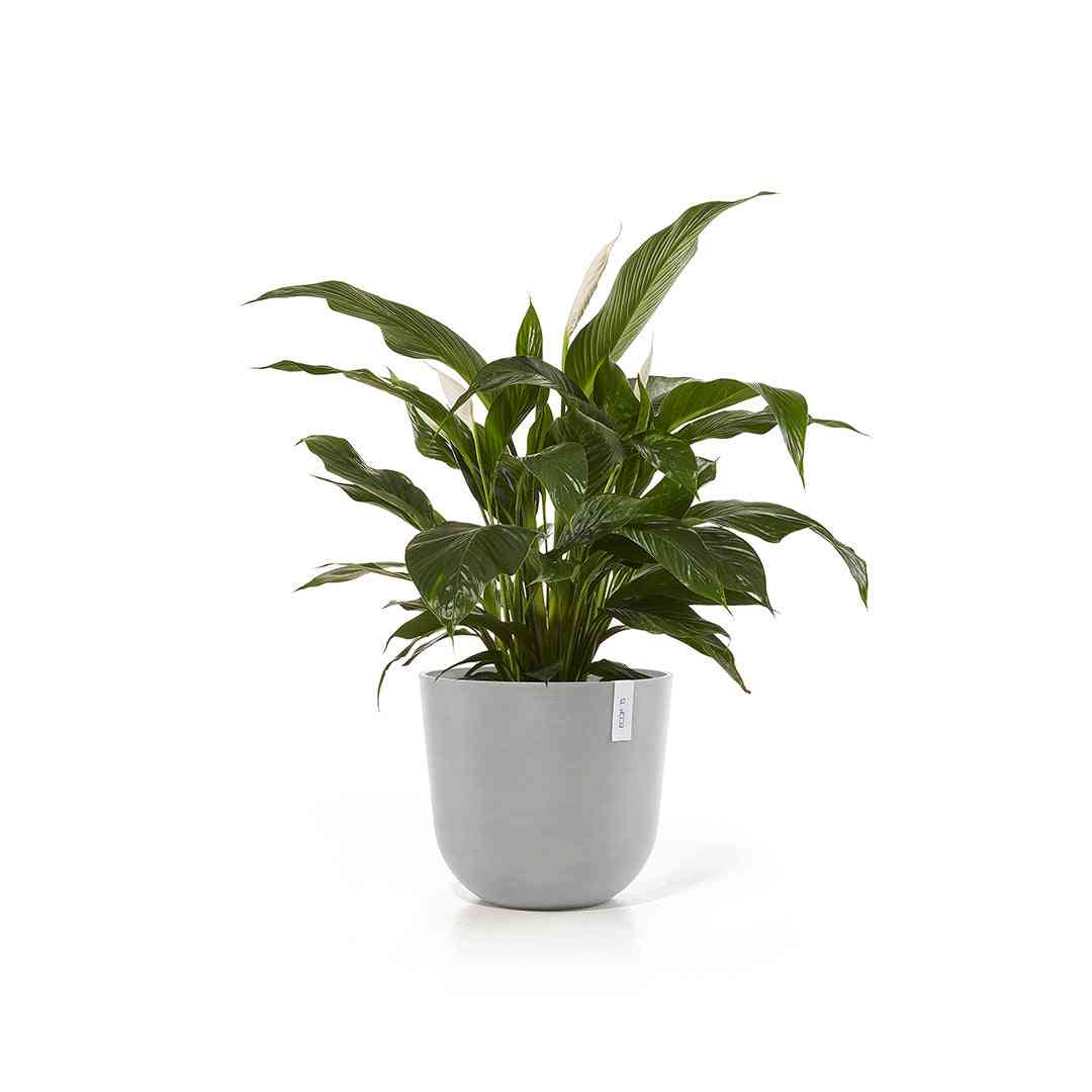 Ecopots Oslo 45 White Grey + Water Reservoir