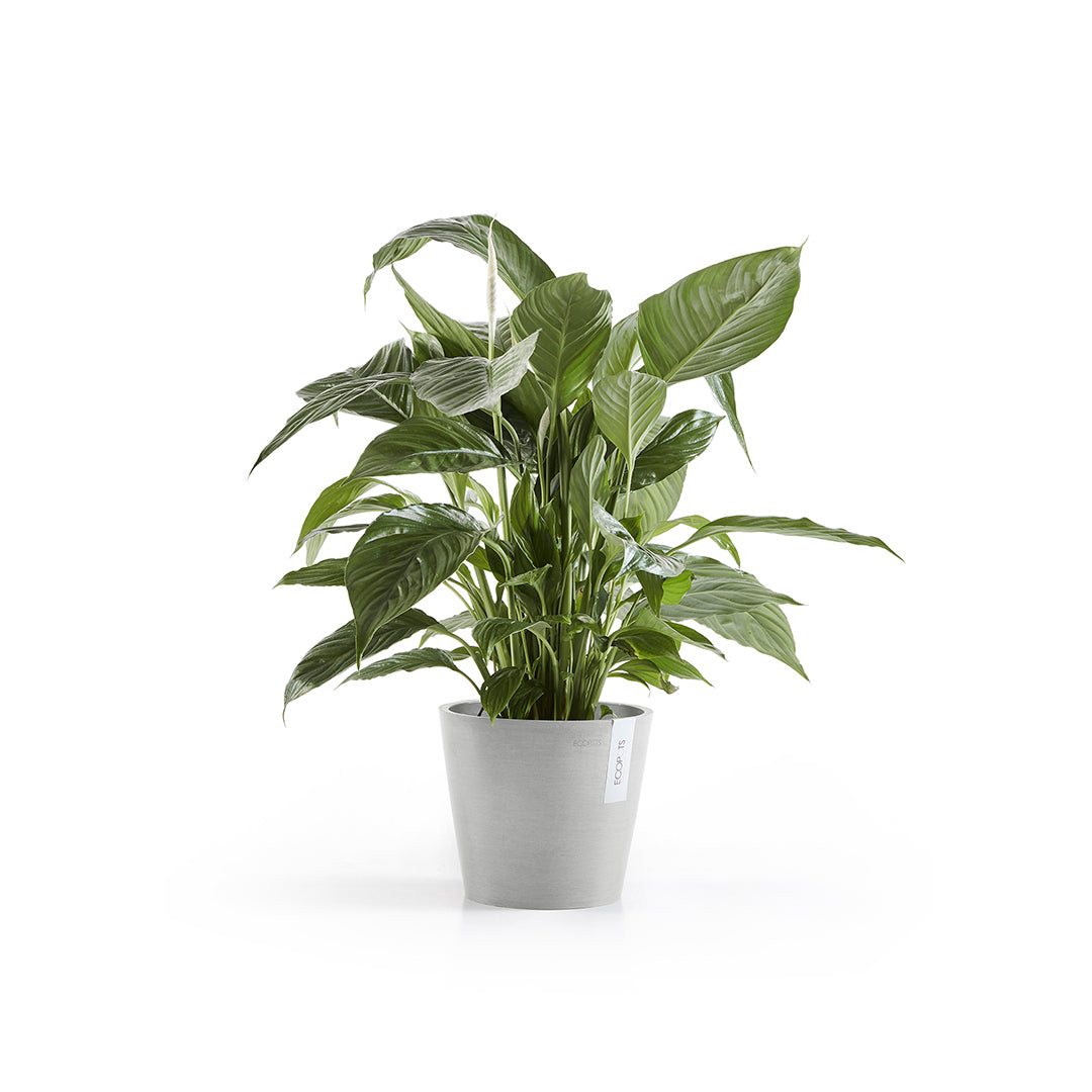Ecopots Amsterdam 20 White Grey + Water Reservoir