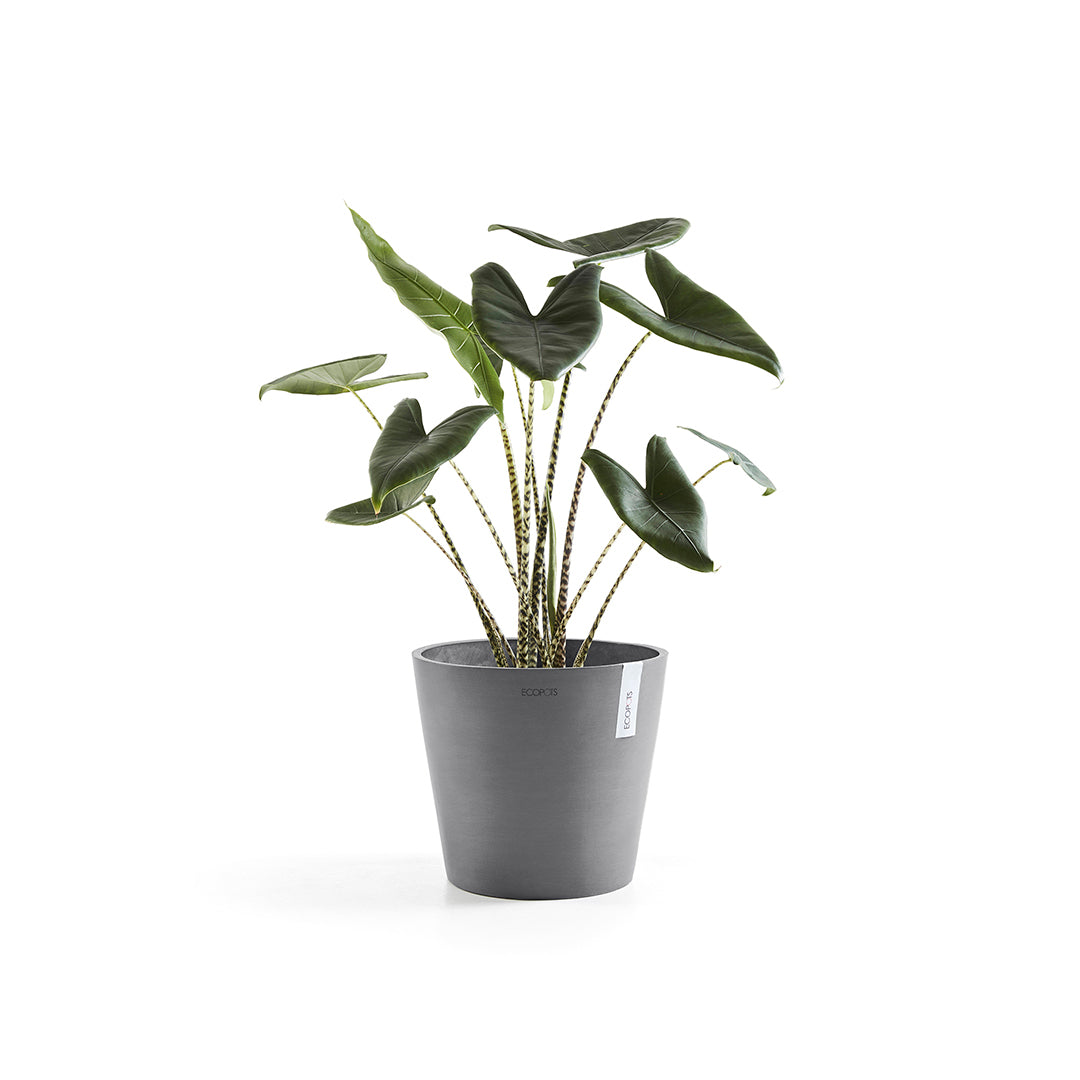 Ecopots Amsterdam 30 Grey + Water Reservoir