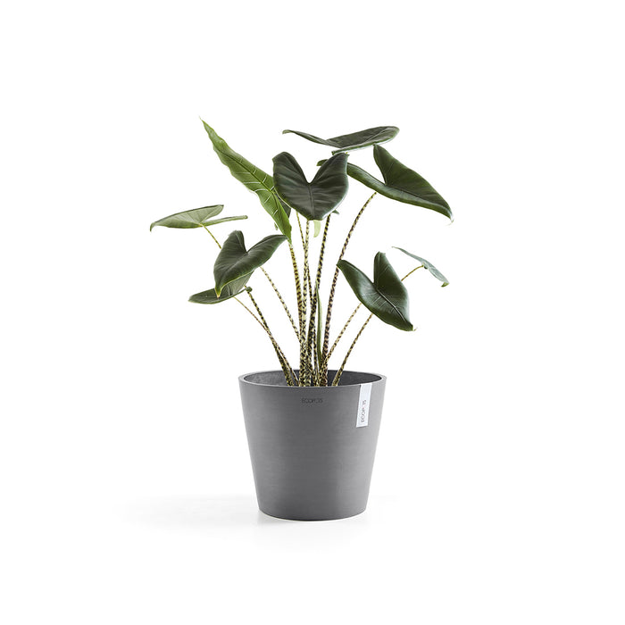Ecopots Amsterdam 30 Grey + Water Reservoir