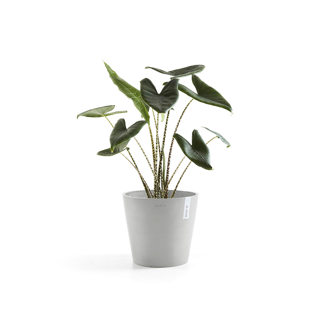 Ecopots Amsterdam 30 White Grey + Water Reservoir