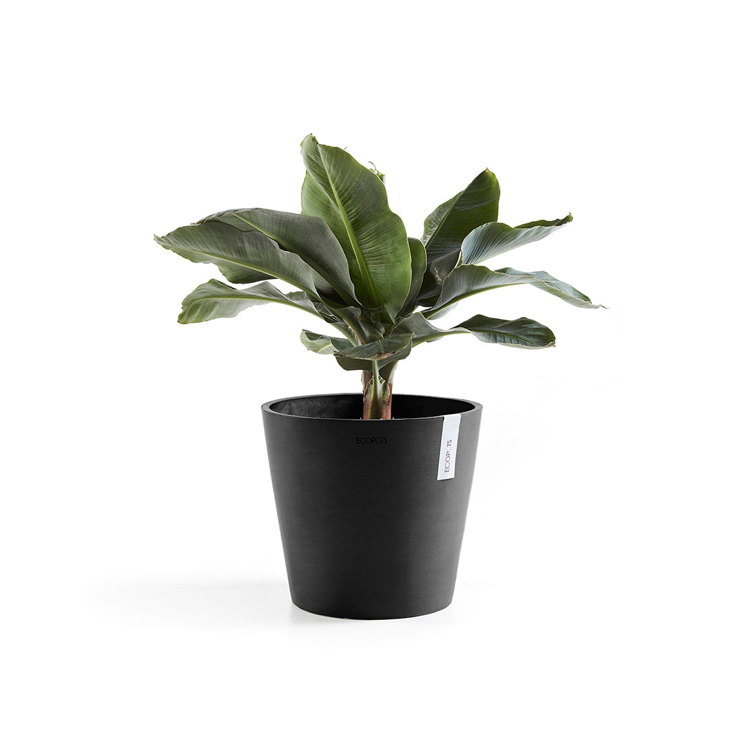 Ecopots Amsterdam 40 Dark Grey + Water Reservoir