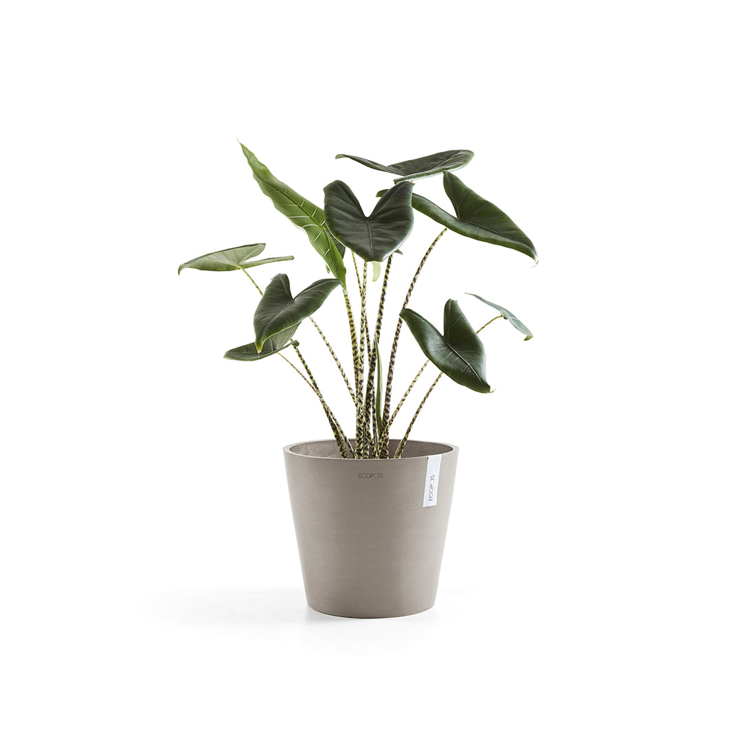 Ecopots Amsterdam 30 Taupe + Water Reservoir