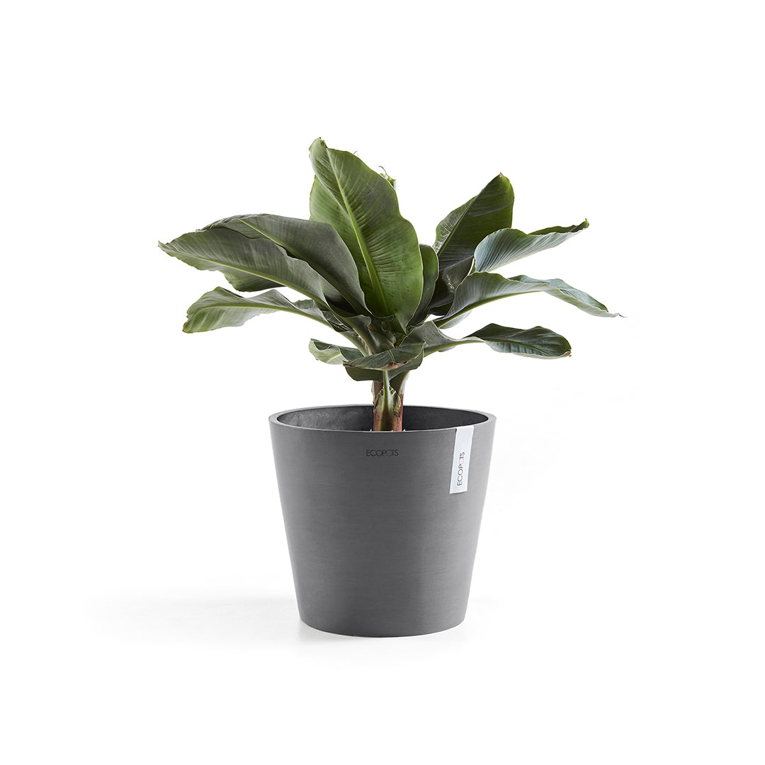 Ecopots Amsterdam 40 Grey + Water Reservoir