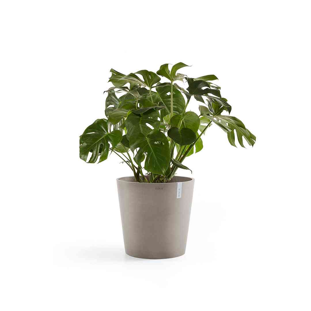 Ecopots Amsterdam 50 Taupe + Water Reservoir