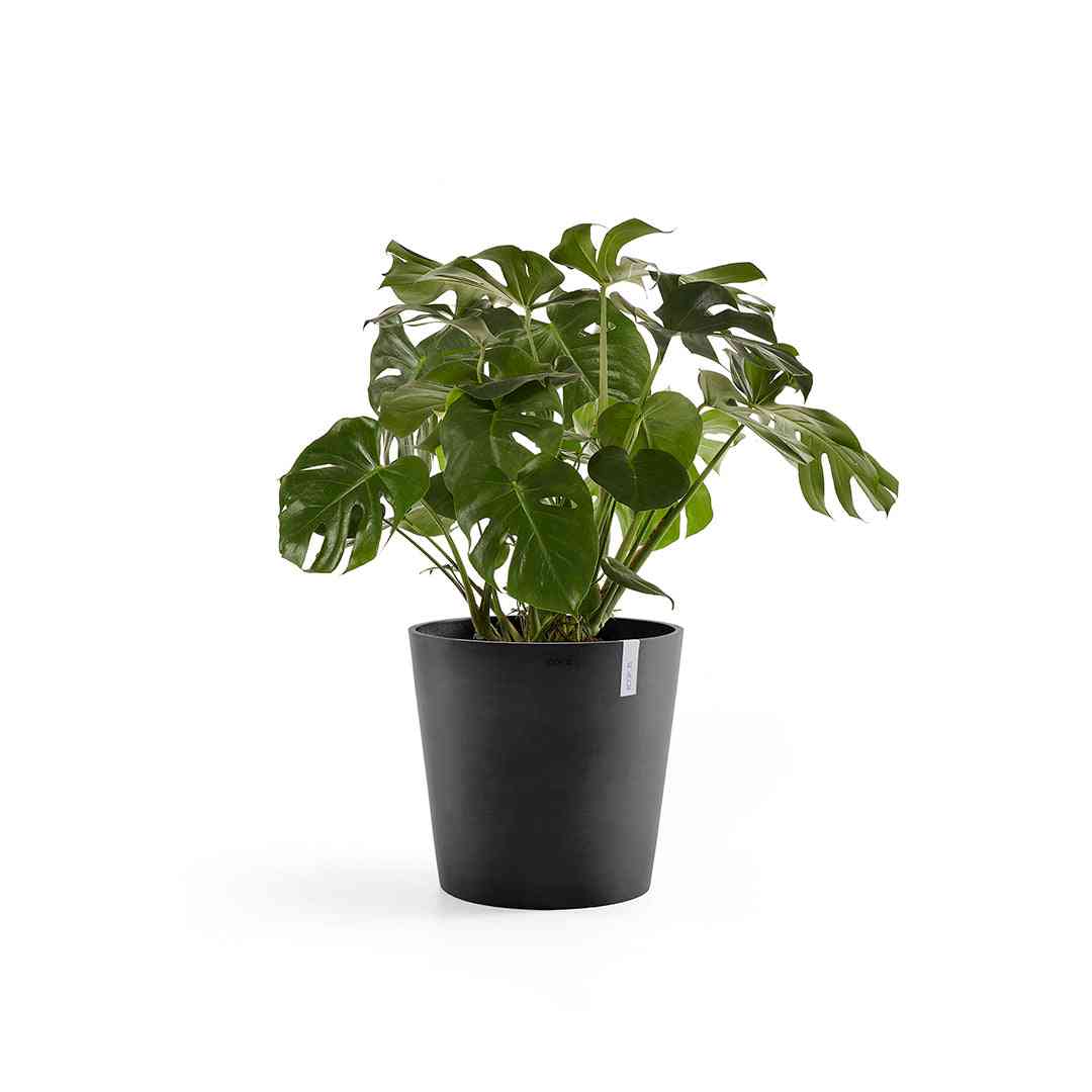 Ecopots Amsterdam 50 Dark Grey + Water Reservoir