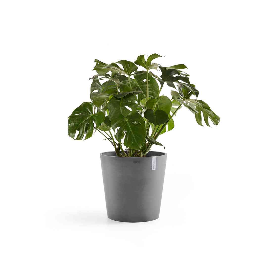 Ecopots Amsterdam 50 Grey + Water Reservoir