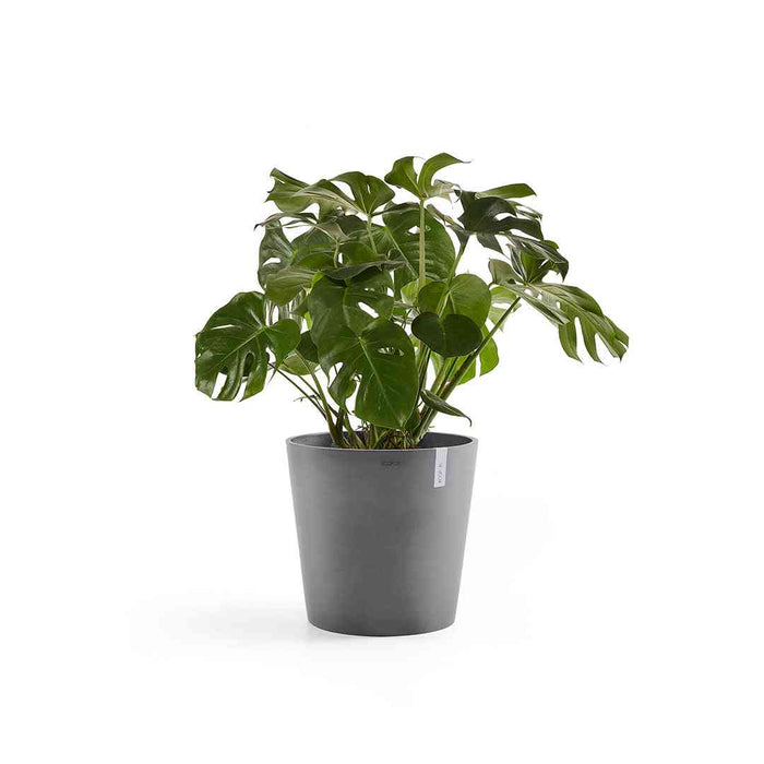Ecopots Amsterdam 50 Grey + Water Reservoir