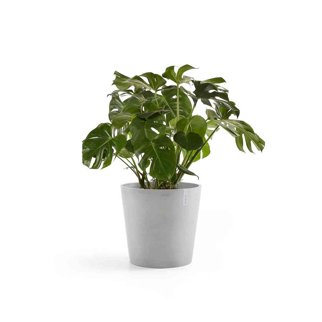 Ecopots Amsterdam 50 White Grey + Water Reservoir