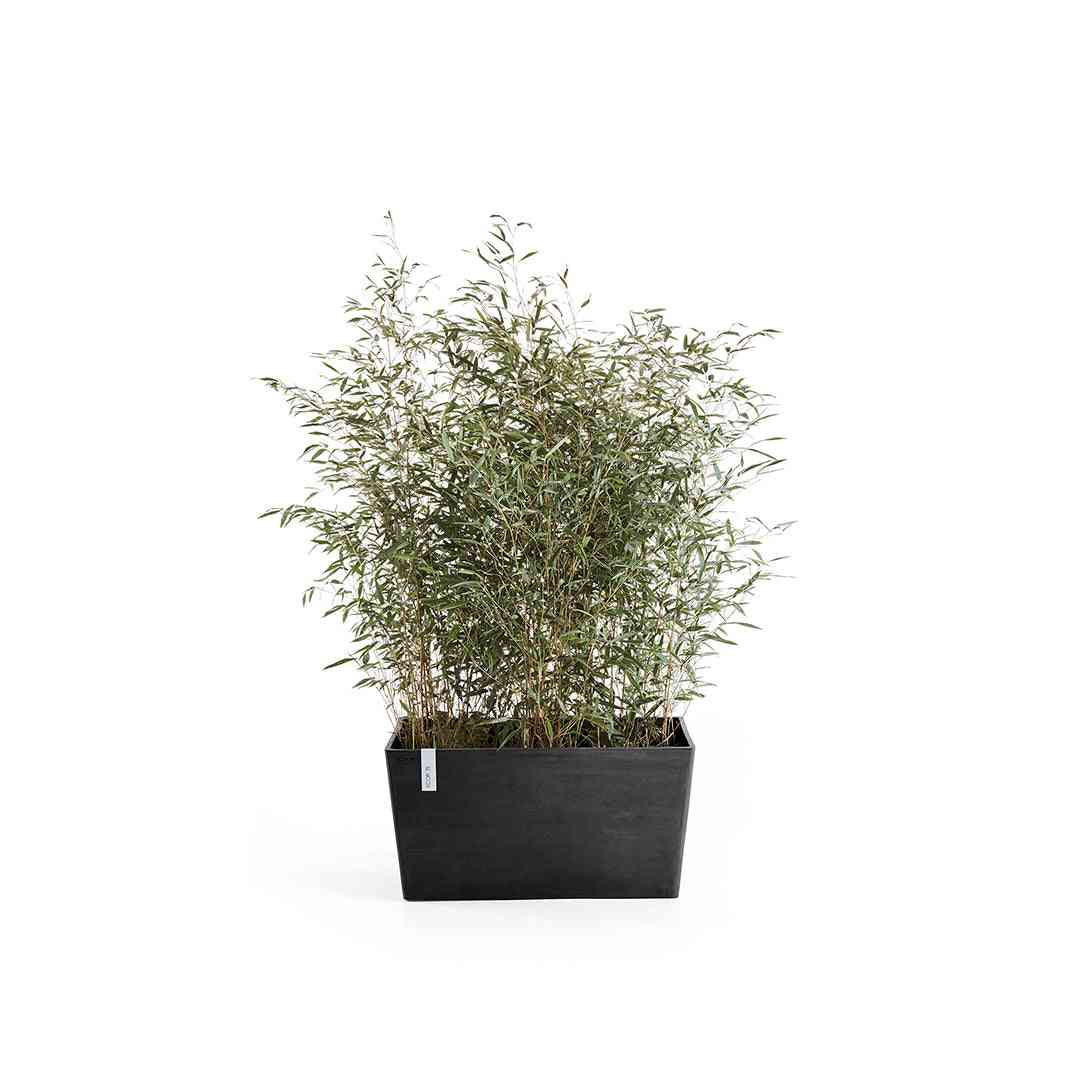 Ecopots Paris 60 Dark Grey