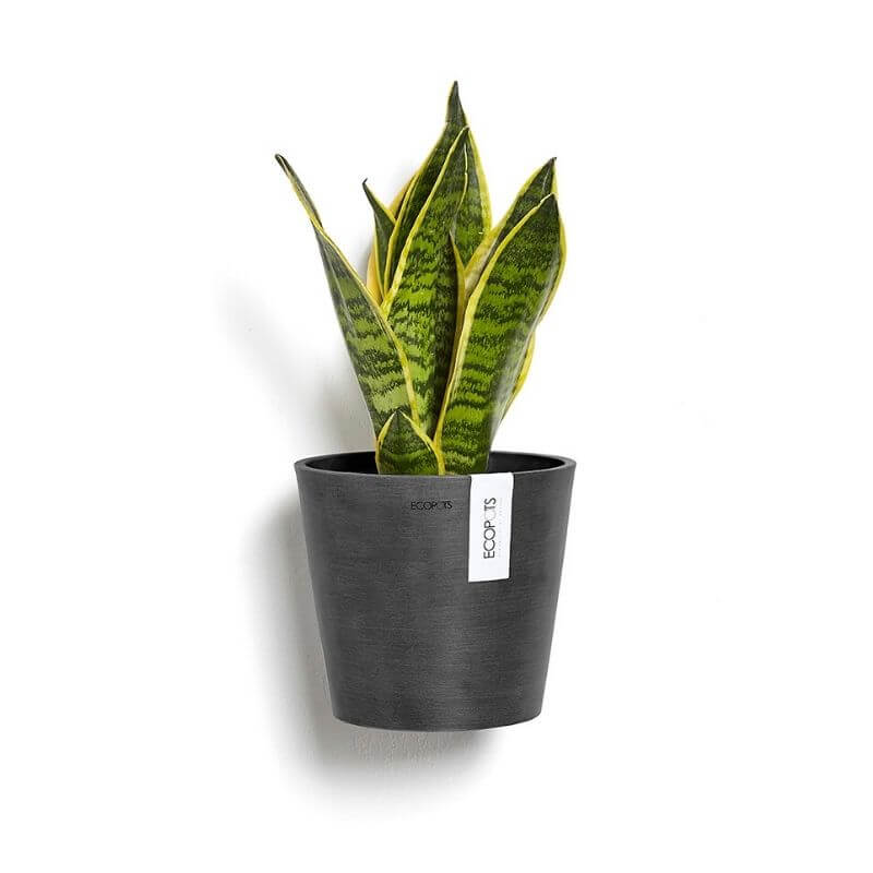 Ecopots Amsterdam Wall 20 Dark Grey