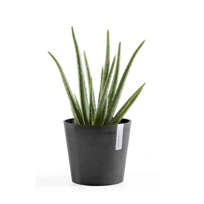 Еко саксия Ecopots Amsterdam Mini 17 Drak Grey за градина