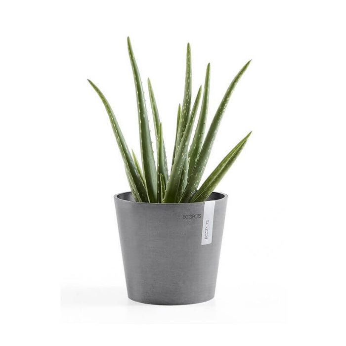 Ecopots Amsterdam Mini 17 Grey
