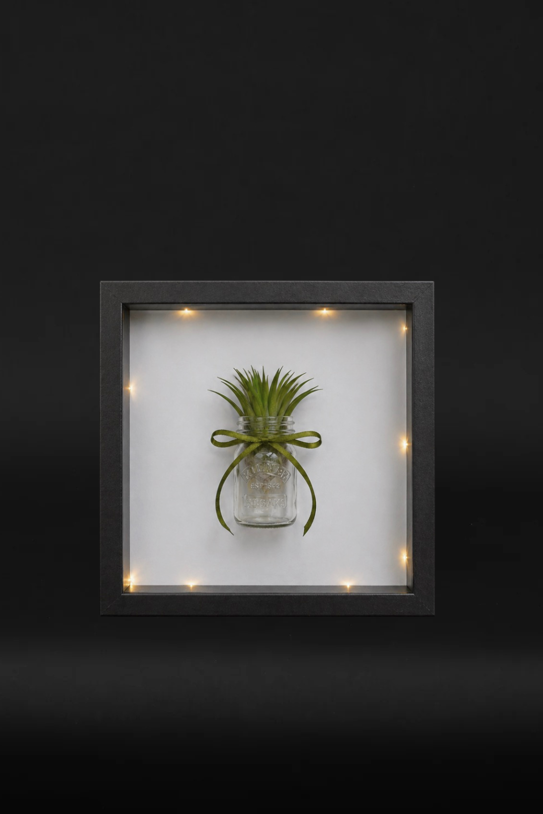 Plant frame