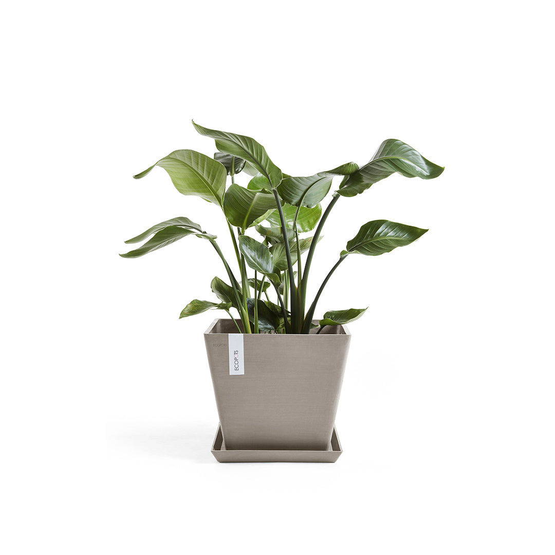 Чинийка Ecopots Saucer Square 30 Taupe