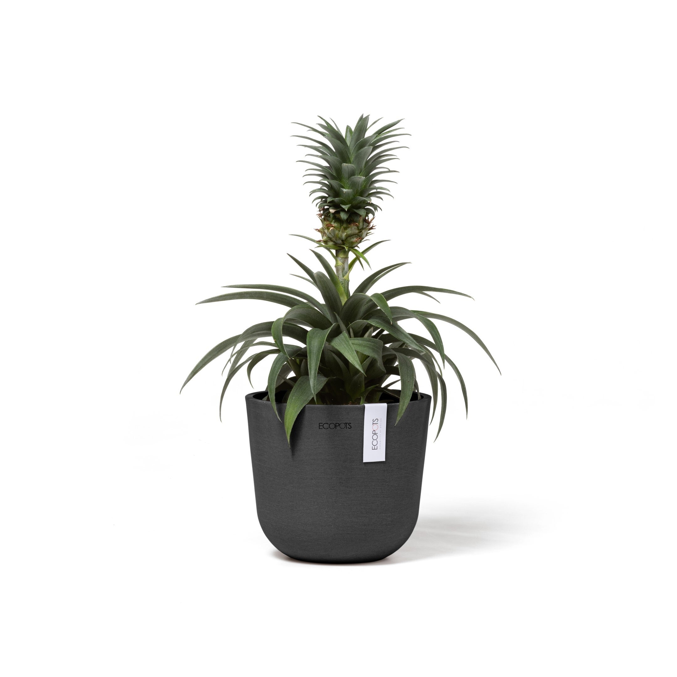 Ecopots Oslo Mini 16 Dark Grey