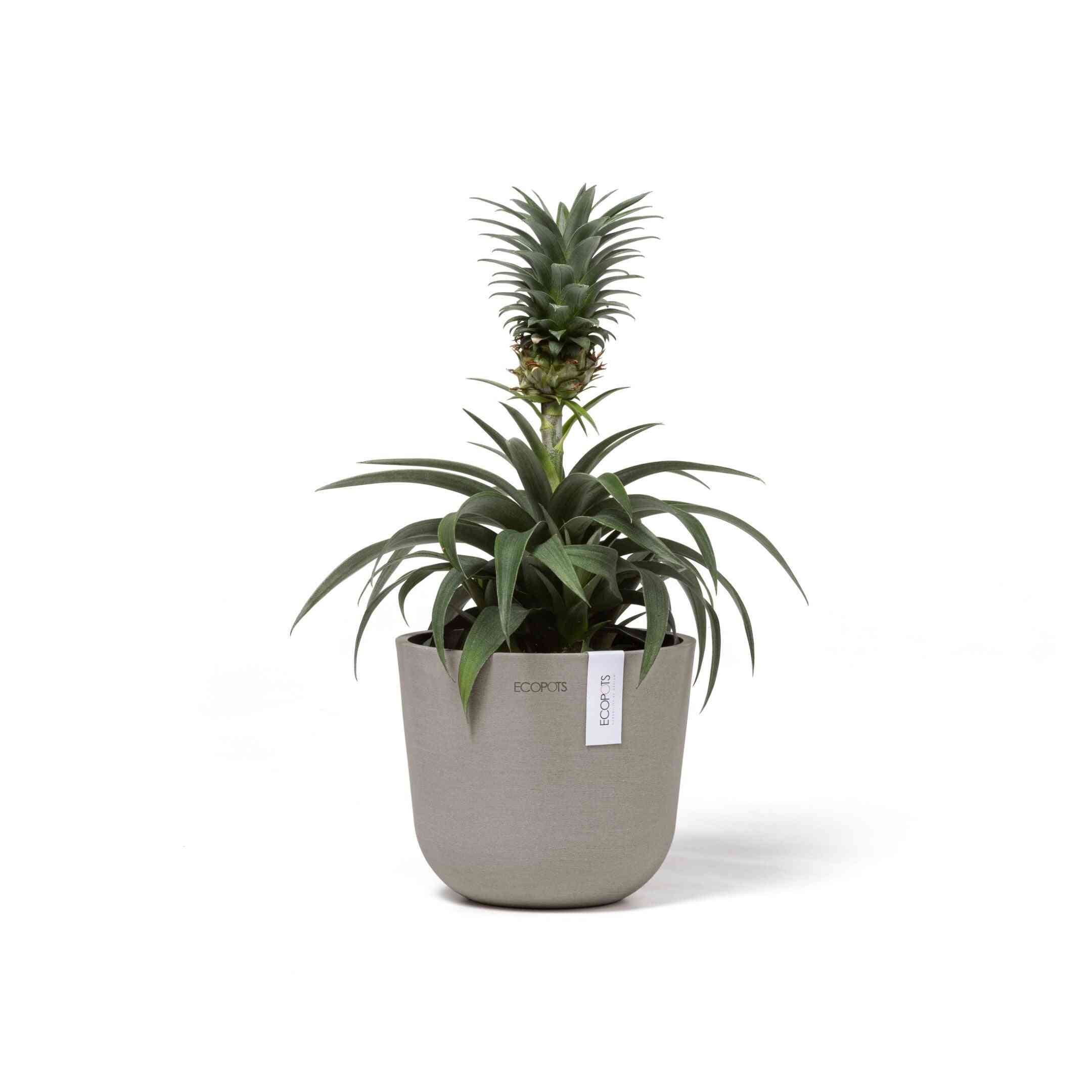 Ecopots Oslo Mini 16 Taupe