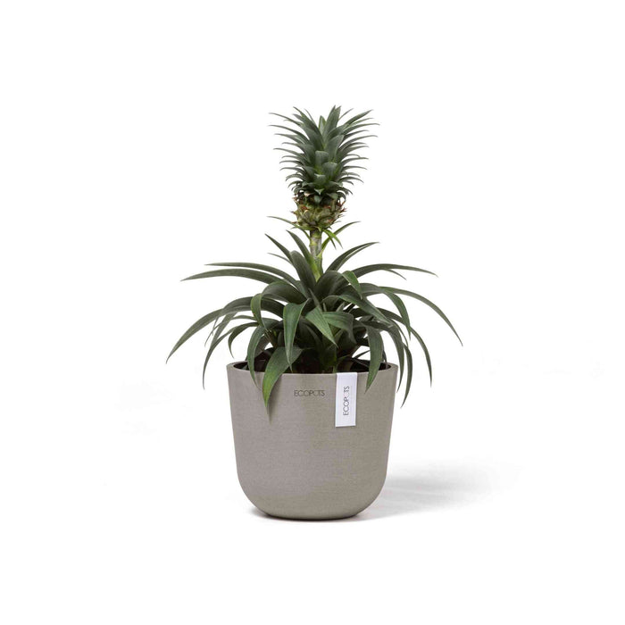 Ecopots Oslo Mini 16 Taupe