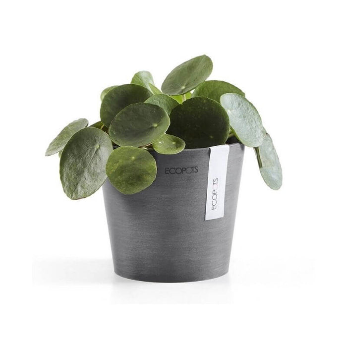 Ecopots Amsterdam Mini 13 Grey