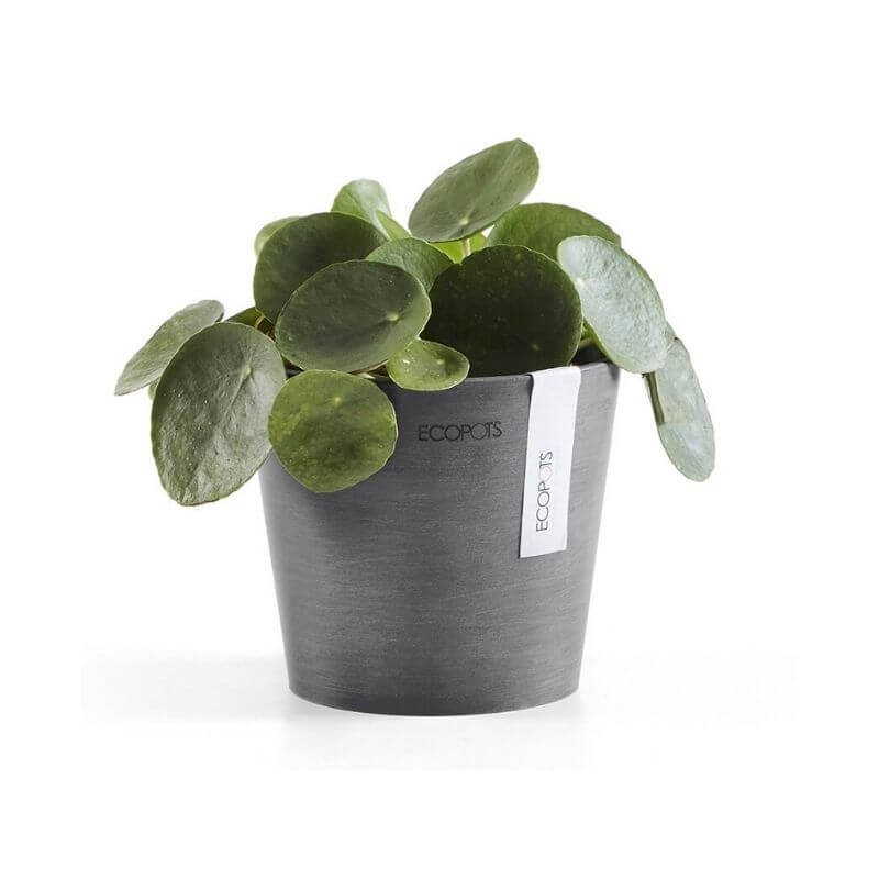 Ecopots Amsterdam Mini 13 Grey