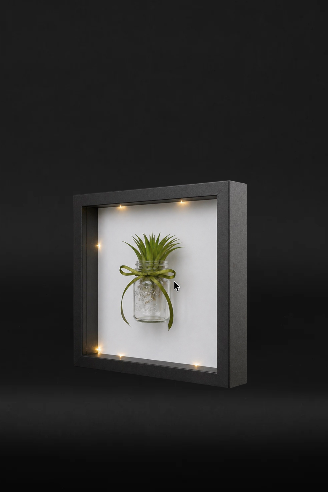 Plant frame
