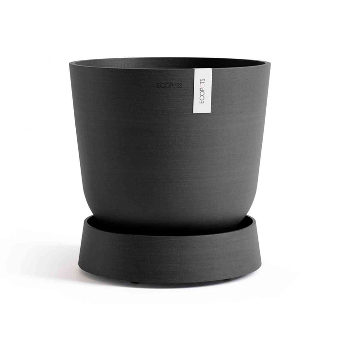 Кашпа Ecopots, поставена върху чинийка с колелца Saucer Wheels Oslo 35 Dark Grey, идеална за интериорна декорация.