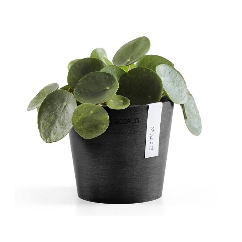 Ecopots Amsterdam Mini 13 Dark Grey