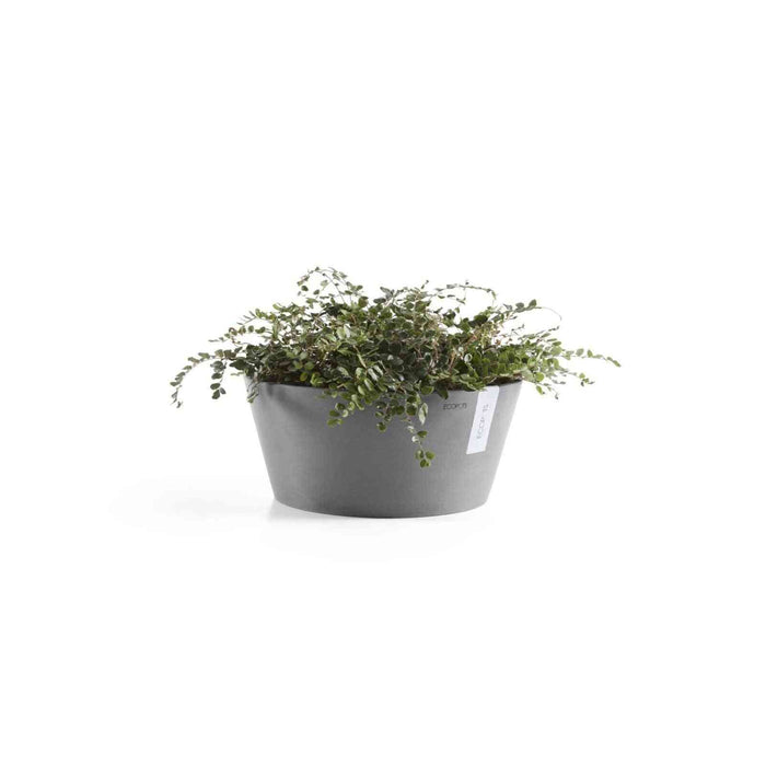 Стайно растение в сива кашпа Тест Ecopots Frankfurt 40 Grey, идеална за интериорно озеленяване и устойчив декор.