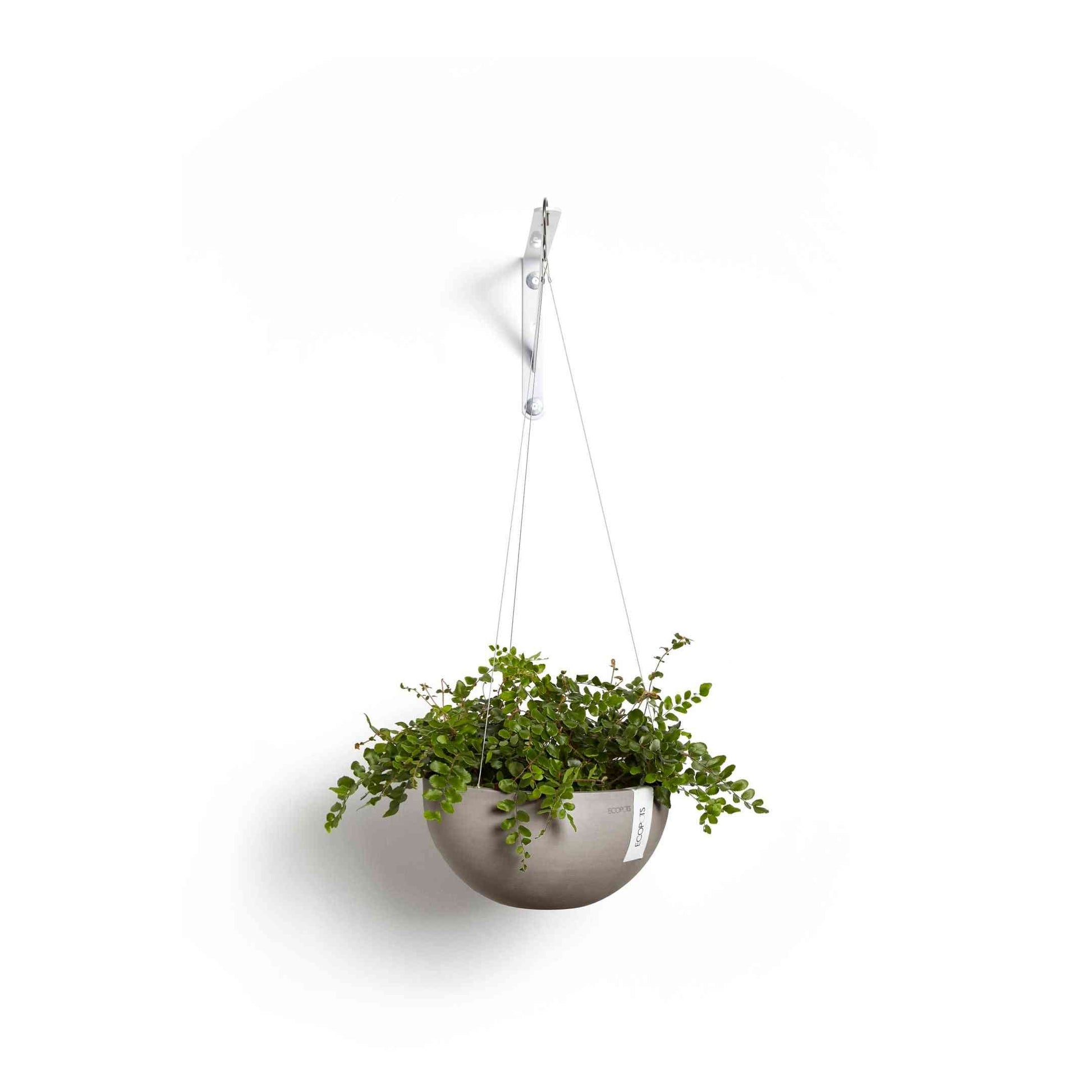 Окачена кашпа Ecopots Hanging Brussels 27 Taupe със зелено стайно растение, подходяща за интериор и балкон.