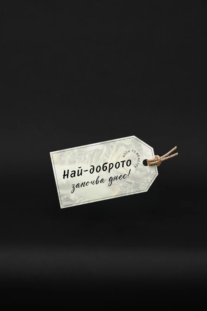 Замиокулкас - "Най-доброто започва днес!"