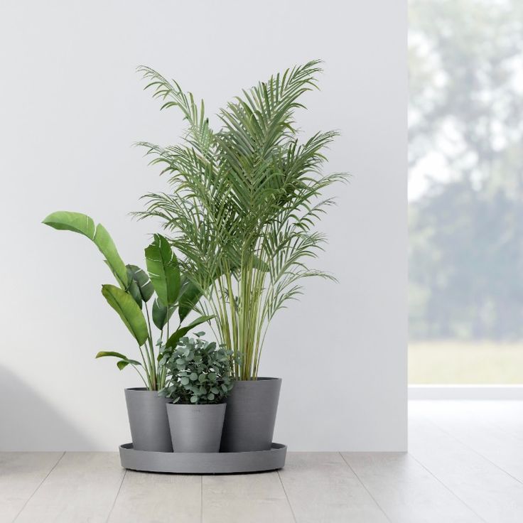 pots