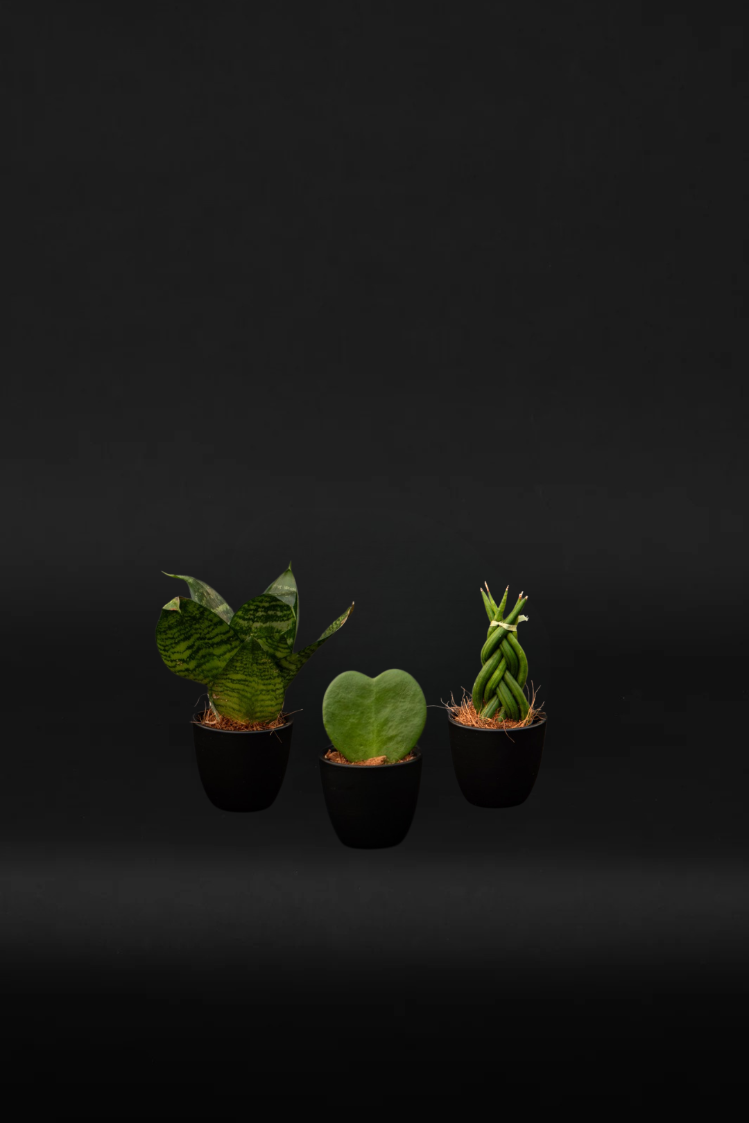 Baby set